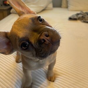 Meet your Posher, Brian